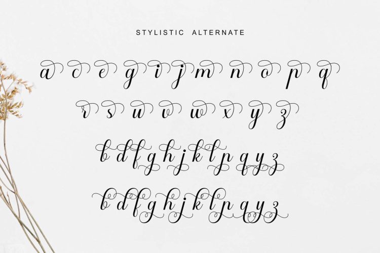 Beautiful Calligraphy Font