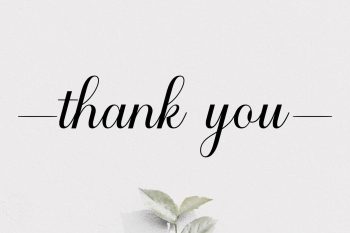 Beautiful Calligraphy Font