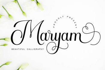 Elegant Calligraphy Font