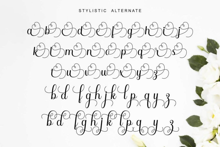 Elegant Calligraphy Font