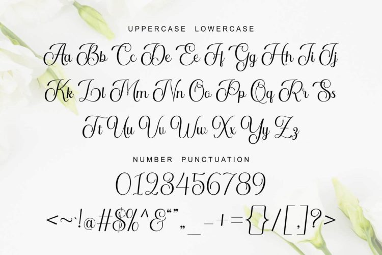 Elegant Calligraphy Font