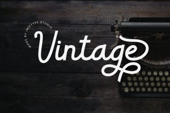 Elegant Casual Script Font