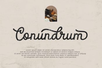 Elegant Casual Script Font