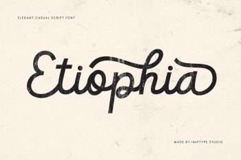 Elegant Casual Script Font