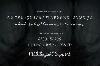 Elegant Casual Script Font