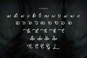 Elegant Casual Script Font