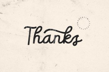 Elegant Casual Script Font