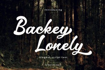 Elegant Script Font