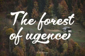 Elegant Script Font