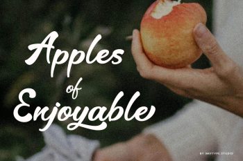 Elegant Script Font