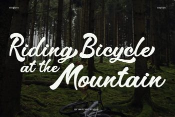 Elegant Script Font
