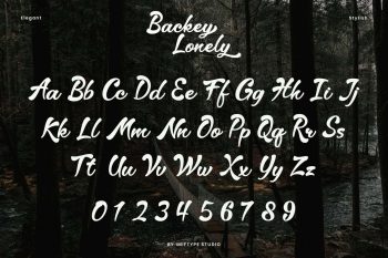 Elegant Script Font
