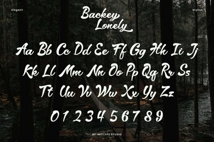 Elegant Script Font