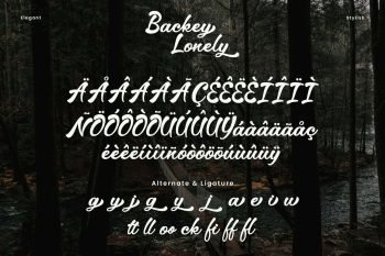 Elegant Script Font