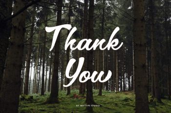 Elegant Script Font