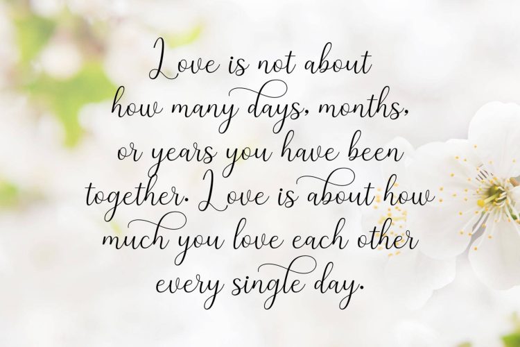 Modern Calligraphy Font
