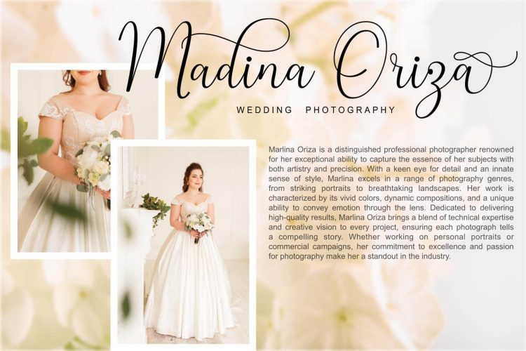 Modern Calligraphy Font