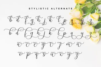 Modern Calligraphy Font