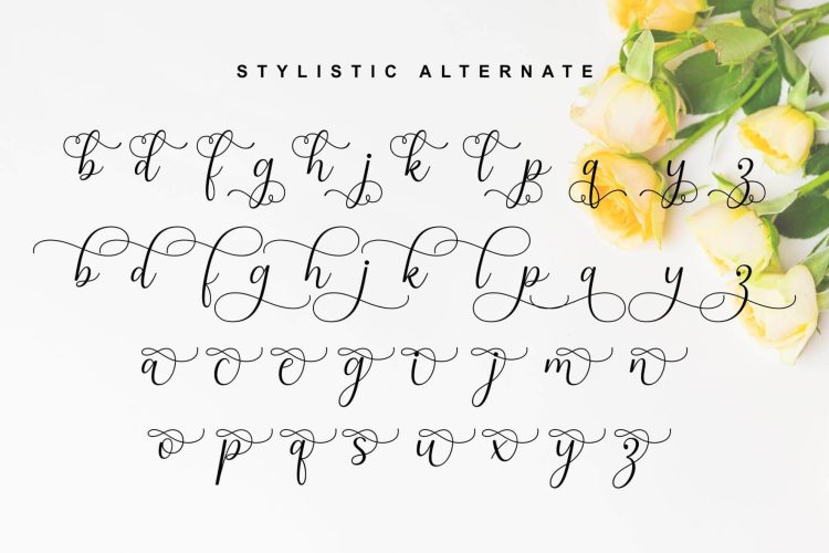 Modern Calligraphy Font