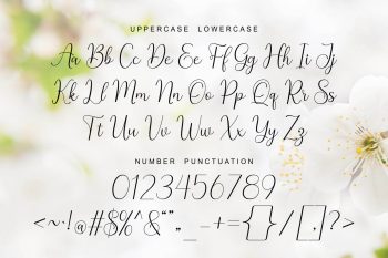 Modern Calligraphy Font