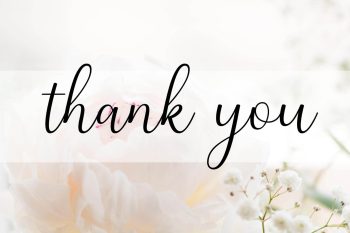 Modern Calligraphy Font