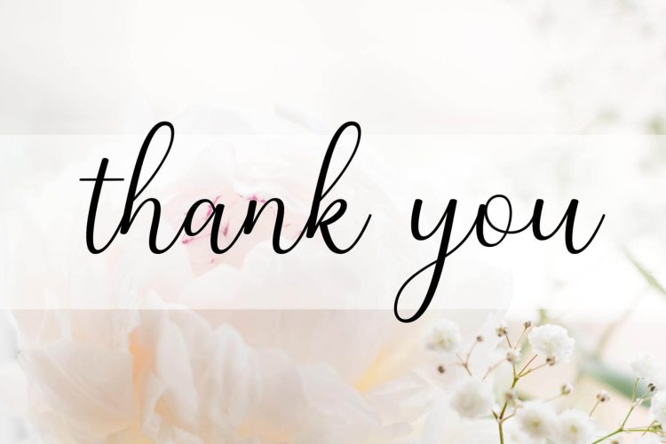 Modern Calligraphy Font