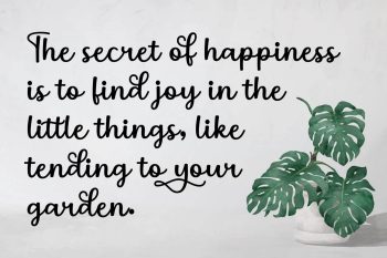 Modern Script Font