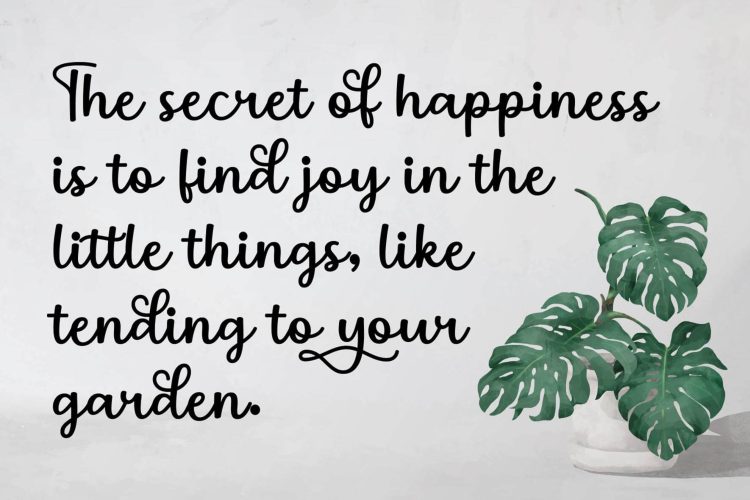 Modern Script Font