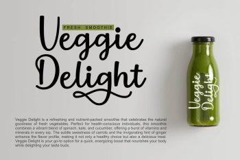 Modern Script Font