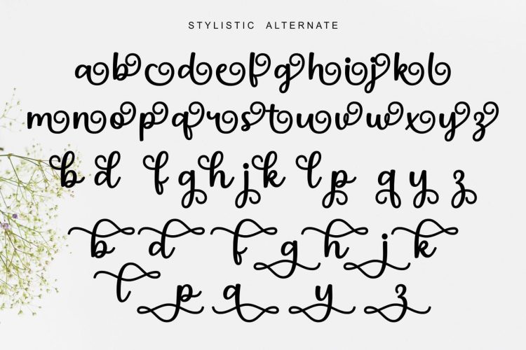 Modern Script Font