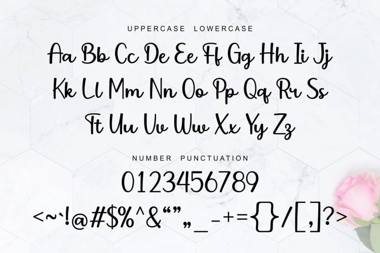 Modern Script Font