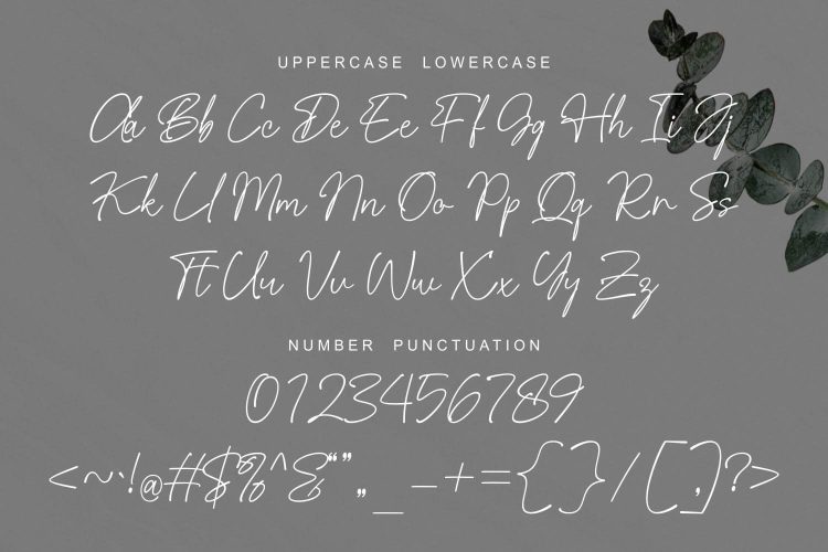 Signature Font