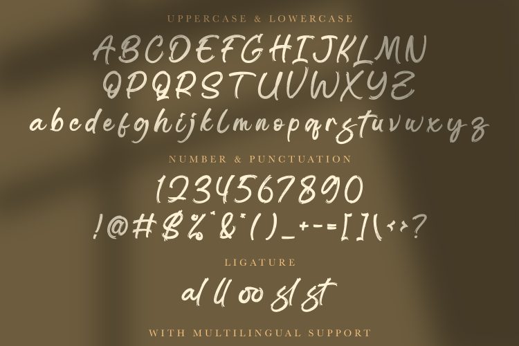 Dimyate - Dry Brush Font - Image 7